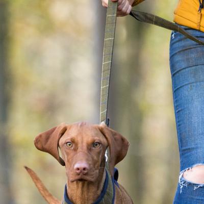 Show full view: HUGO & HUDSON Checked Tweed Dog Leash, Dark Green, Large slide 10 of 10