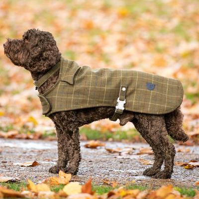 Show full view: HUGO & HUDSON Checked Tweed Metal Buckle Dog Collar, Dark Green, Large slide 9 of 11