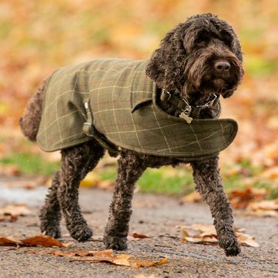 Show full view: HUGO & HUDSON Checked Tweed Metal Buckle Dog Collar, Dark Green, X-Small slide 5 of 10
