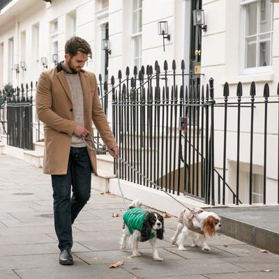 Show full view: HUGO & HUDSON Checked Tweed Metal Buckle Dog Collar, Pink, X-Small slide 5 of 10