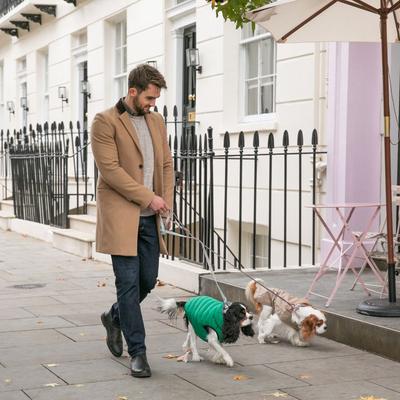 Show full view: HUGO & HUDSON Checked Tweed Metal Buckle Dog Collar, Pink, X-Small slide 8 of 10