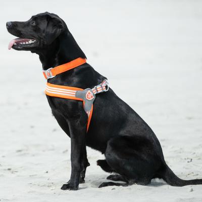 Show full view: HUGO & HUDSON Easy V Dog Harness, Orange, Size 9 slide 2 of 10