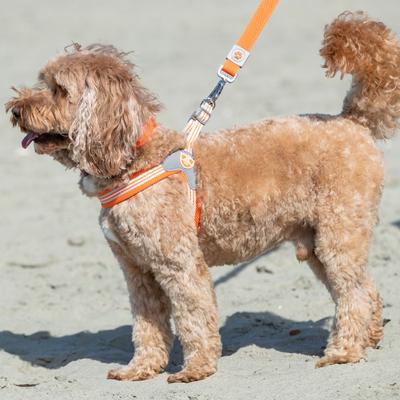 Show full view: HUGO & HUDSON Easy V Dog Harness, Orange, Size 9 slide 6 of 10