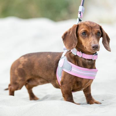 Show full view: HUGO & HUDSON Easy V Dog Harness, Pink, Size 8 slide 2 of 10