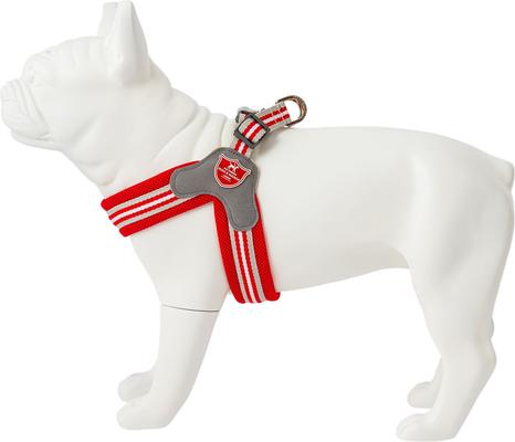 Show full view: HUGO & HUDSON Easy V Dog Harness, Red, Size 2 slide 1 of 11