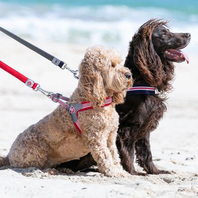 Show full view: HUGO & HUDSON Easy V Dog Harness, Red, Size 2 slide 10 of 11