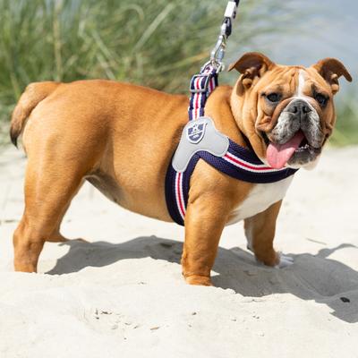 Show full view: HUGO & HUDSON Easy V Dog Harness, Red, White & Blue, Size 4 slide 2 of 10