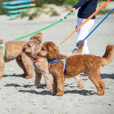 Show full view: HUGO & HUDSON Easy V Dog Harness, Royal Blue, Size 2 slide 7 of 10