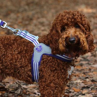 Show full view: HUGO & HUDSON Easy V Dog Harness, Royal Blue, Size 7 slide 10 of 11