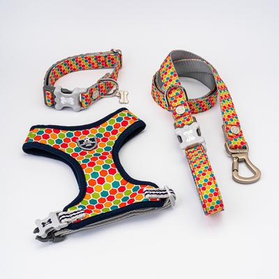 Show full view: HUGO & HUDSON Geometric Printed Dog Leash, Multi-colored, Medium/Large slide 8 of 9