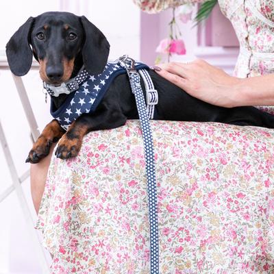 Show full view: HUGO & HUDSON Geometric Printed Dog Leash, Navy, X-Small/Small slide 2 of 9