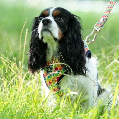 Show full view: HUGO & HUDSON Geormetric Print Dog Harness, Multi Coloured, Small slide 2 of 10