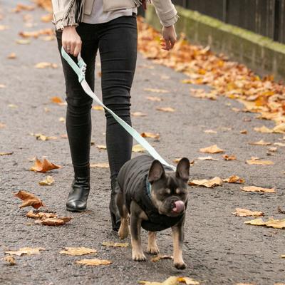 Show full view: HUGO & HUDSON Herringbone Tweed Dog Leash, Aqua, Large slide 9 of 10