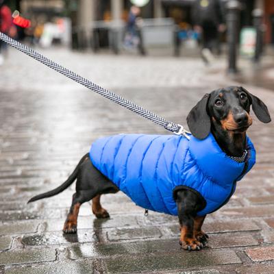 Show full view: HUGO & HUDSON Herringbone Tweed Dog Leash, Navy, Large slide 2 of 9