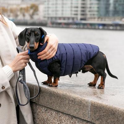 Show full view: HUGO & HUDSON Herringbone Tweed Dog Leash, Navy, Large slide 6 of 9