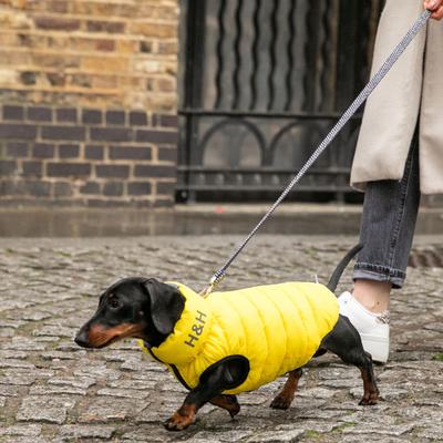 Show full view: HUGO & HUDSON Herringbone Tweed Dog Leash, Navy, Small slide 8 of 9