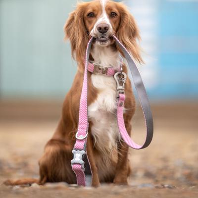 Show full view: HUGO & HUDSON Herringbone Tweed Dog Leash, Pink, Large slide 6 of 9
