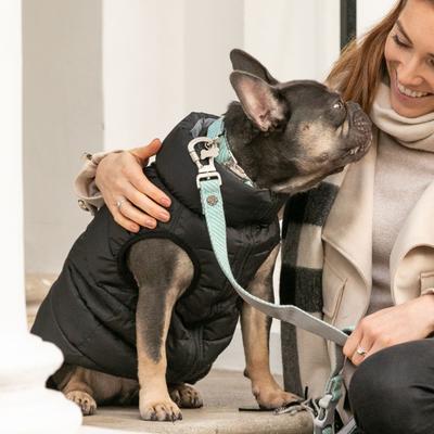 Show full view: HUGO & HUDSON Herringbone Tweed Metal Buckle Dog Collar, Aqua, Large slide 2 of 10