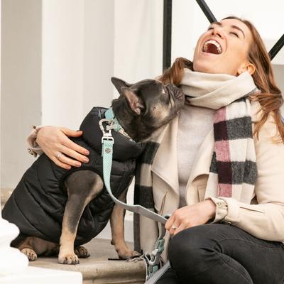 Show full view: HUGO & HUDSON Herringbone Tweed Metal Buckle Dog Collar, Aqua, Large slide 7 of 10