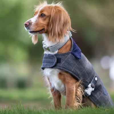 Show full view: HUGO & HUDSON Herringbone Tweed Metal Buckle Dog Collar, Grey, Large slide 8 of 11