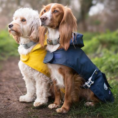 Show full view: HUGO & HUDSON Herringbone Tweed Metal Buckle Dog Collar, Grey, X-Small slide 5 of 10