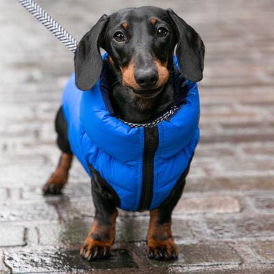 Show full view: HUGO & HUDSON Herringbone Tweed Metal Buckle Dog Collar, Navy, X-Small slide 9 of 11