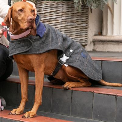 Show full view: HUGO & HUDSON Herringbone Tweed Metal Buckle Dog Collar, Pink, Large slide 6 of 11