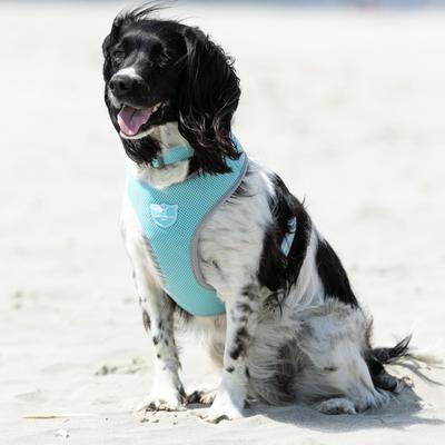 Show full view: HUGO & HUDSON Mesh Dog Collar, Aqua, Large slide 2 of 8