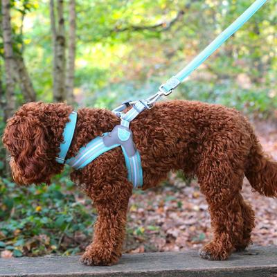 Show full view: HUGO & HUDSON Mesh Dog Collar, Aqua, Large slide 6 of 8
