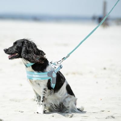 Show full view: HUGO & HUDSON Mesh Dog Collar, Aqua, Large slide 8 of 8