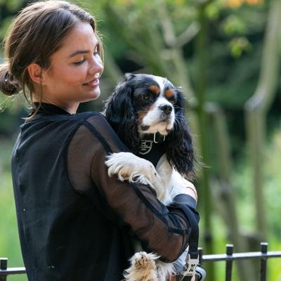 Show full view: HUGO & HUDSON Mesh Dog Collar, Black, Large slide 5 of 9