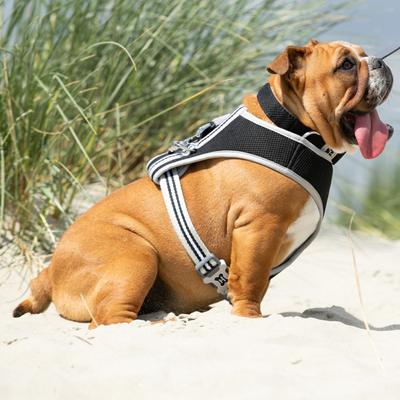 Show full view: HUGO & HUDSON Mesh Dog Collar, Black, Large slide 6 of 9