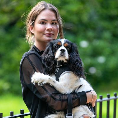 Show full view: HUGO & HUDSON Mesh Dog Collar, Black, Large slide 7 of 9