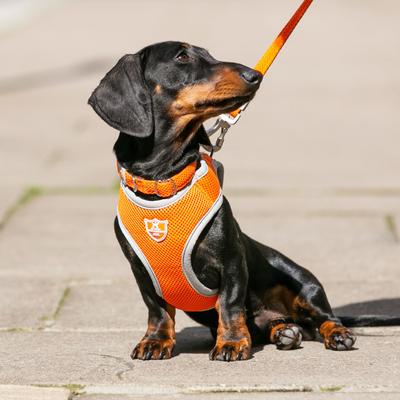 Show full view: HUGO & HUDSON Mesh Dog Collar, Orange, Large slide 5 of 8