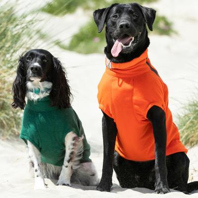 Show full view: HUGO & HUDSON Mesh Dog Collar, Orange, Small slide 7 of 8