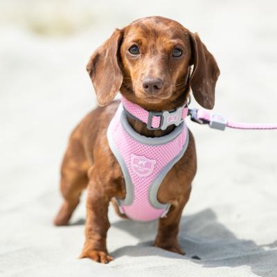 Show full view: HUGO & HUDSON Mesh Dog Collar, Pink, Large slide 2 of 8