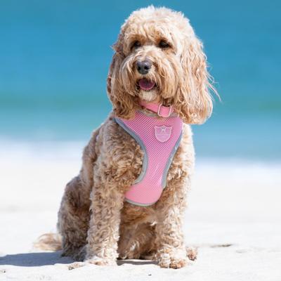 Show full view: HUGO & HUDSON Mesh Dog Collar, Pink, Large slide 4 of 8