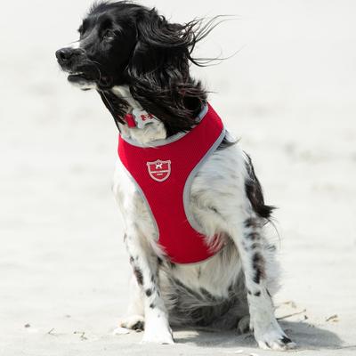 Show full view: HUGO & HUDSON Mesh Dog Collar, Red, Large slide 5 of 9