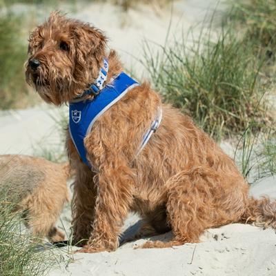 Show full view: HUGO & HUDSON Mesh Dog Collar, Royal Blue, Large slide 5 of 9