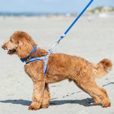 Show full view: HUGO & HUDSON Mesh Dog Collar, Royal Blue, Large slide 6 of 9