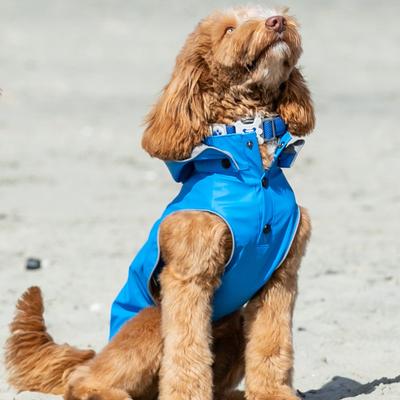 Show full view: HUGO & HUDSON Mesh Dog Collar, Royal Blue, Large slide 7 of 9