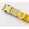 Show in main carousel: HUGO & HUDSON Mesh Dog Collar, Yellow, Large slide 4 of 9