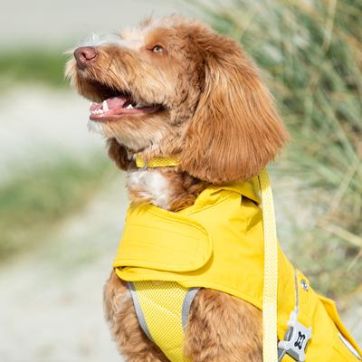 Show full view: HUGO & HUDSON Mesh Dog Collar, Yellow, Large slide 5 of 9