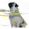 Show in main carousel: HUGO & HUDSON Mesh Dog Collar, Yellow, X-Small slide 8 of 9