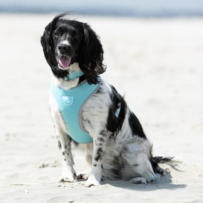 Show full view: HUGO & HUDSON Mesh Dog Harness, Aqua, Large slide 2 of 10