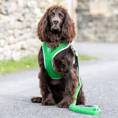 Show full view: HUGO & HUDSON Mesh Dog Harness, Green, Medium slide 2 of 10