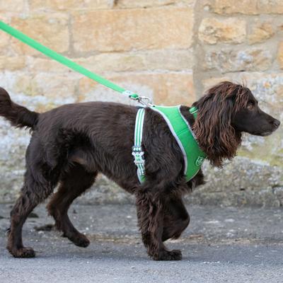 Show full view: HUGO & HUDSON Mesh Dog Harness, Green, Medium slide 9 of 10