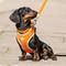 Show in main carousel: HUGO & HUDSON Mesh Dog Harness, Orange, Large slide 8 of 10