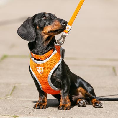 Show full view: HUGO & HUDSON Mesh Dog Harness, Orange, Large slide 8 of 10