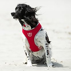 HUGO & HUDSON Mesh Dog Harness, Red, X-Small slide 2 of 9